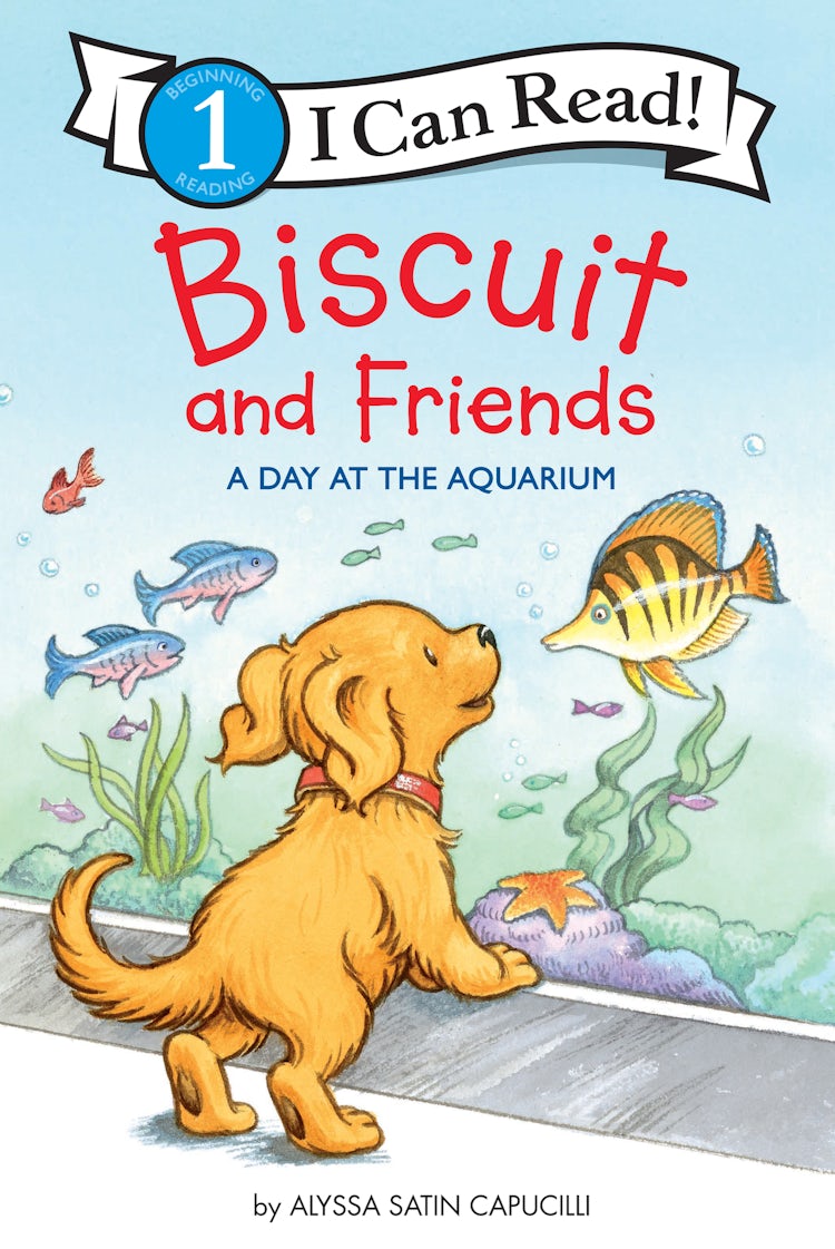 Cover image for Biscuit and Friends: A Day at the Aquarium, isbn: 9780062910066