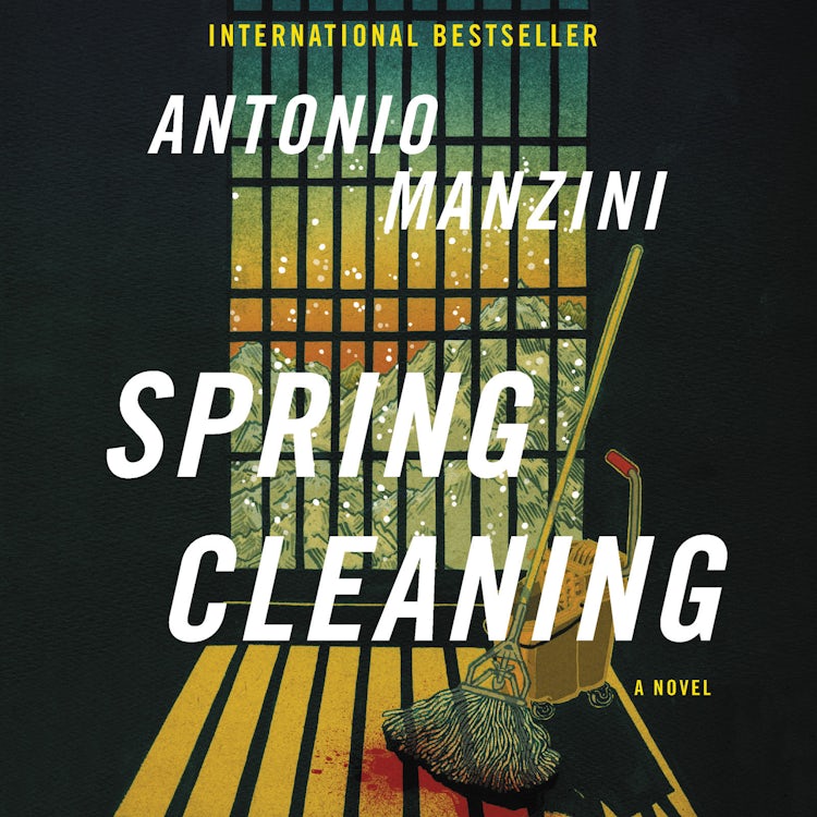 Cover image for Spring Cleaning, isbn: 9780062931252