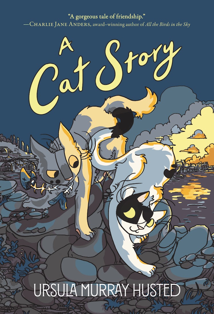 Cover image for A Cat Story: Graphic Novel, isbn: 9780062932044