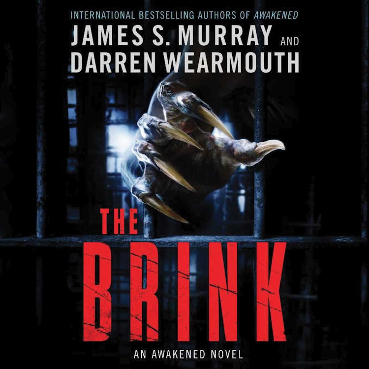 Cover image for The Brink, isbn: 9780062932136