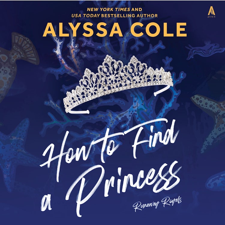 Cover image for How to Find a Princess, isbn: 9780062934024