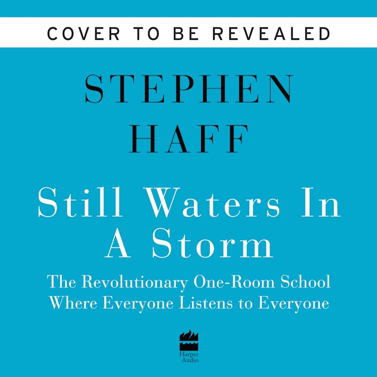 Cover image for Still Waters in a Storm, isbn: 9780062934093