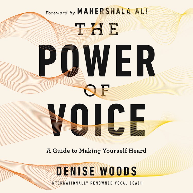 Cover image for The Power of Voice, isbn: 9780062941060
