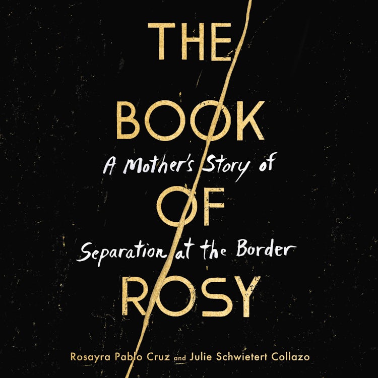 Cover image for The Book of Rosy, isbn: 9780062941954