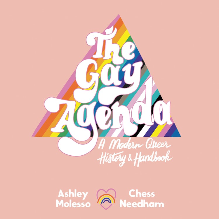 Cover image for The Gay Agenda, isbn: 9780062944573