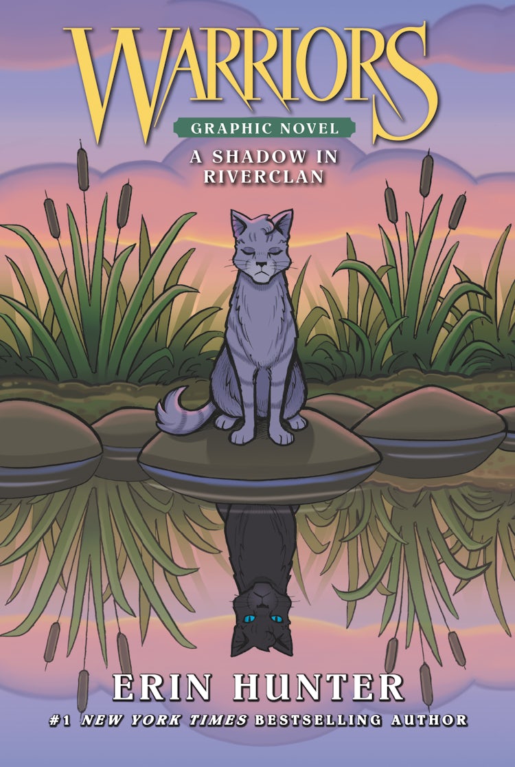 Cover image for Warriors A Shadow in Riverclan Graphic Novel, isbn: 9780062946645