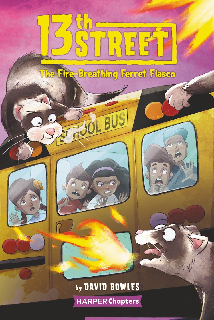 Cover image for 13th Street #2: The Fire-Breathing Ferret Fiasco, isbn: 9780062947840