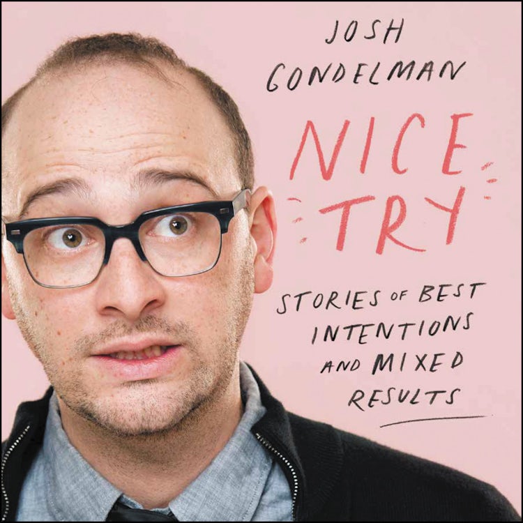 Cover image for Nice Try, isbn: 9780062959003