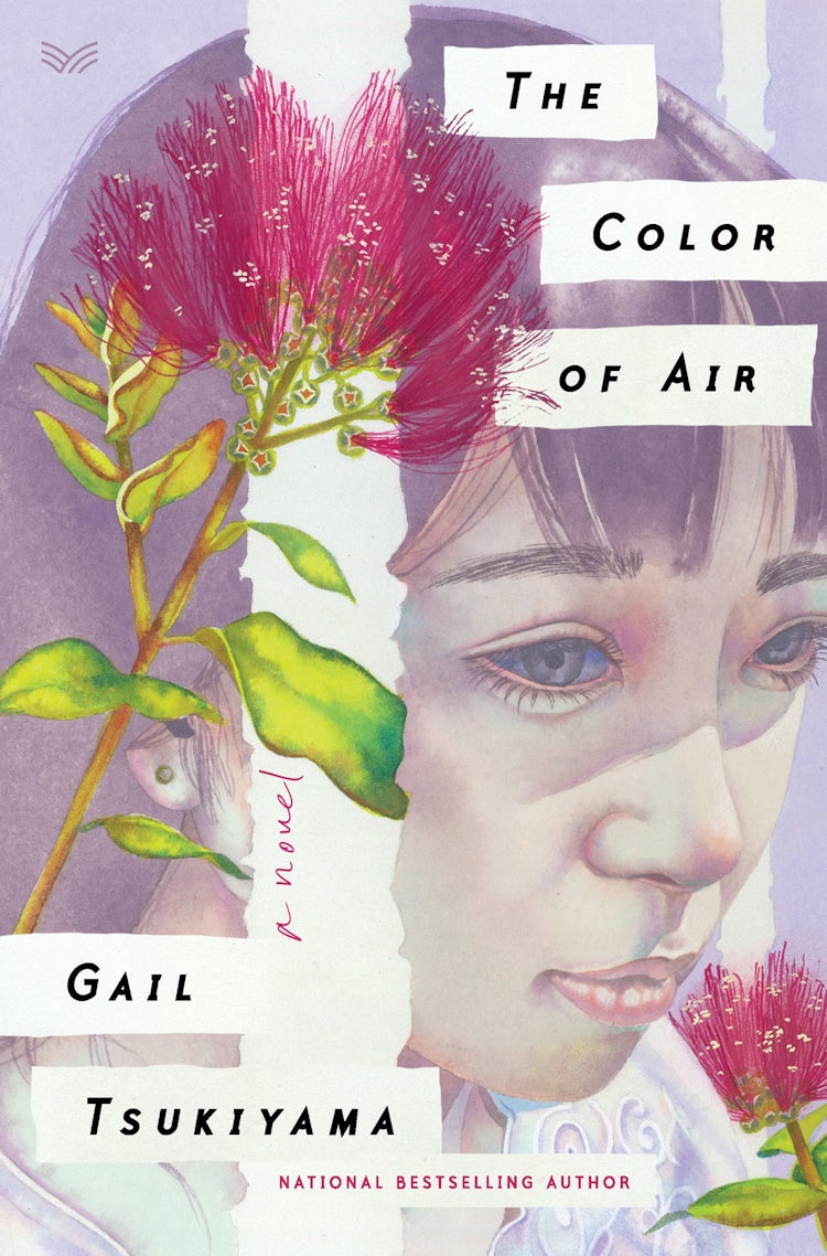 Cover image for The Color of Air, isbn: 9780062976215