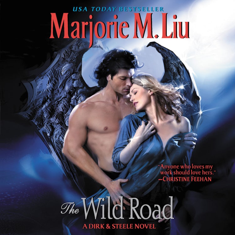 Cover image for The Wild Road, isbn: 9780062980502