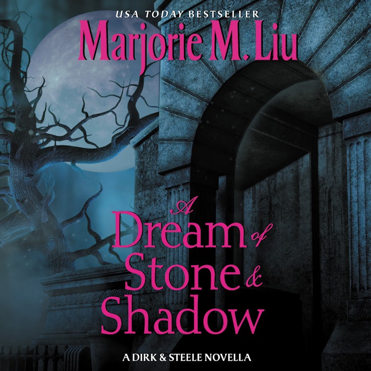 Cover image for A Dream of Stone & Shadow, isbn: 9780062980540