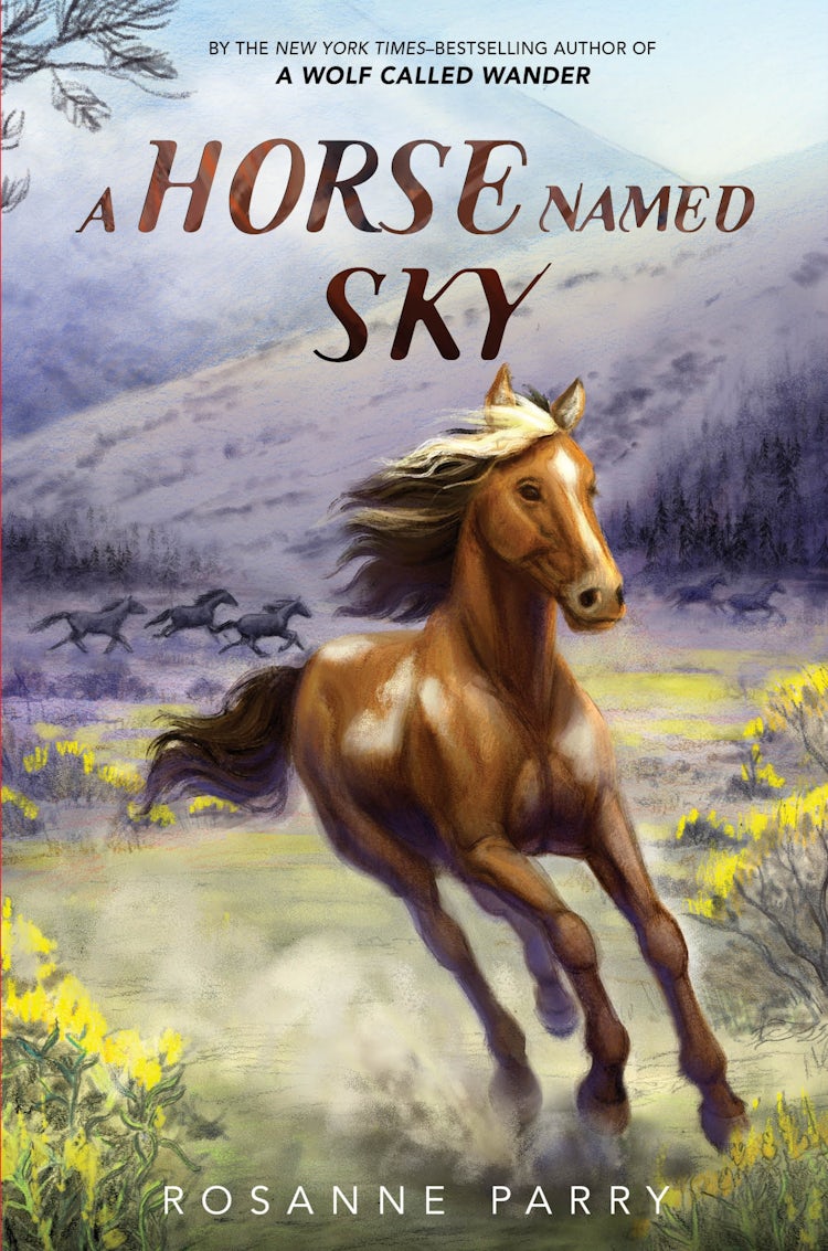 Cover image for A Horse Named Sky, isbn: 9780062995964