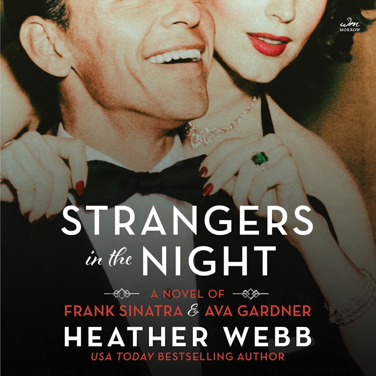 Cover image for Strangers in the Night, isbn: 9780063004207