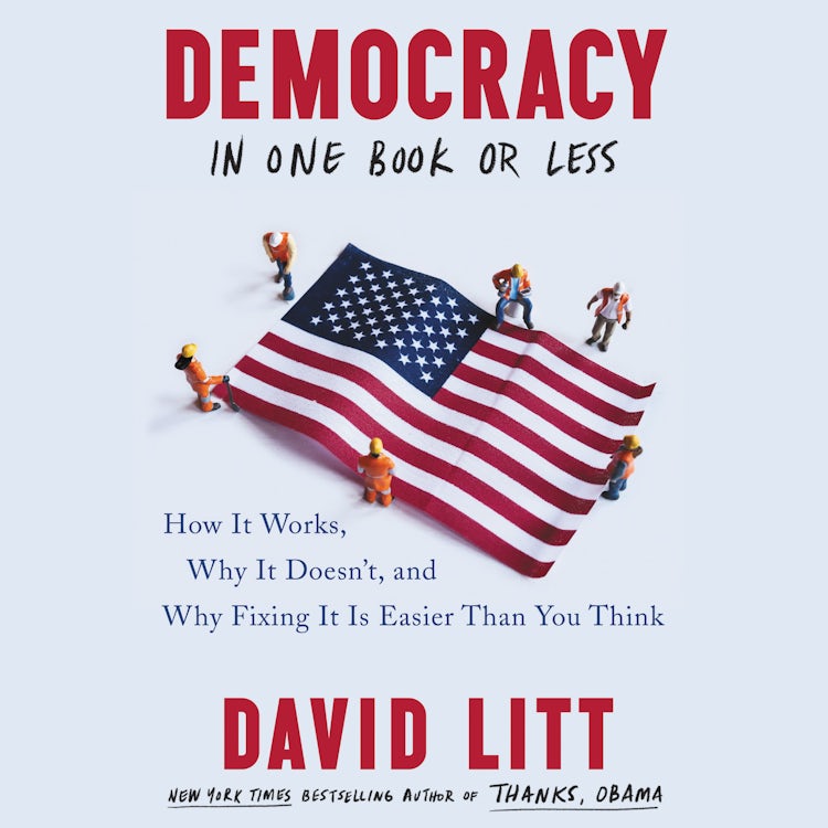Cover image for Democracy in One Book or Less, isbn: 9780063005426