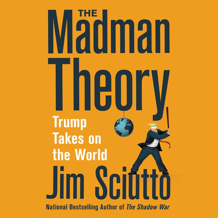 Cover image for The Madman Theory, isbn: 9780063005709