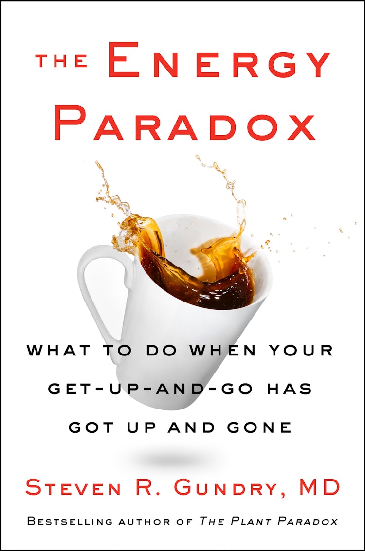 Cover image for The Energy Paradox, isbn: 9780063005747