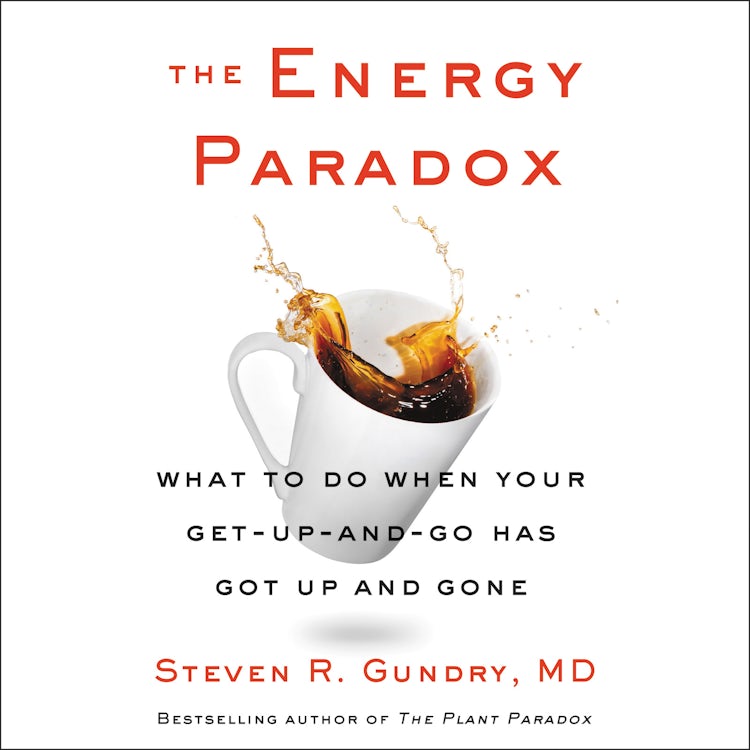 Cover image for The Energy Paradox, isbn: 9780063005754
