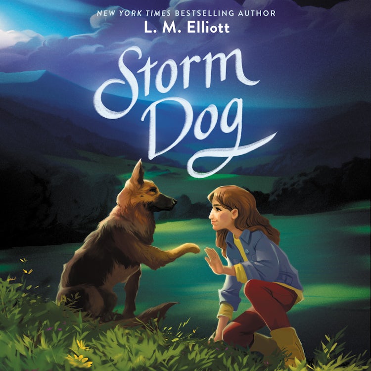 Cover image for Storm Dog, isbn: 9780063013391