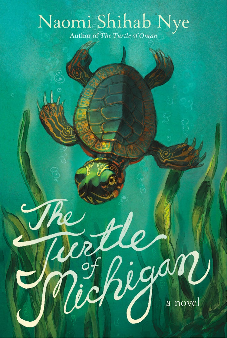 Cover image for The Turtle of Michigan, isbn: 9780063014183
