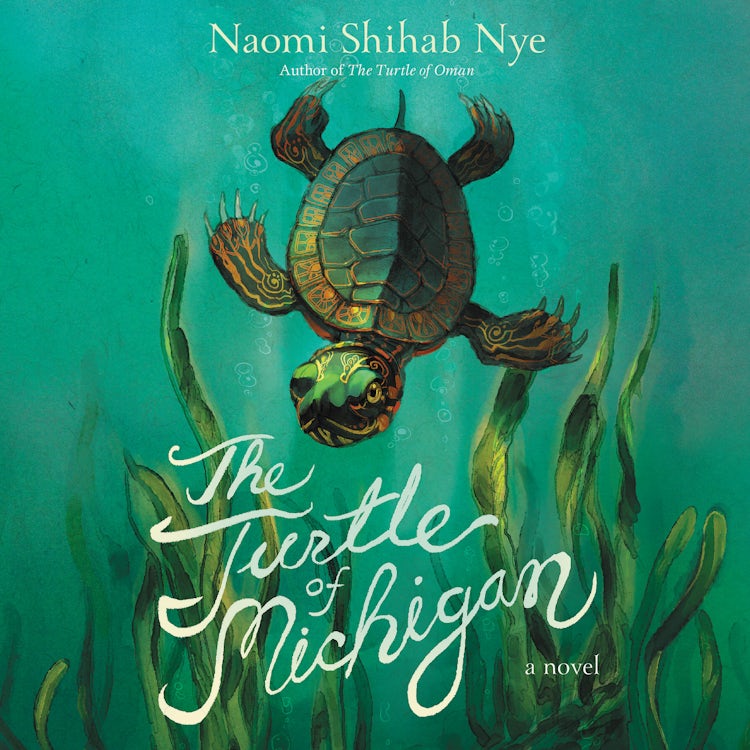 Cover image for The Turtle of Michigan, isbn: 9780063014190