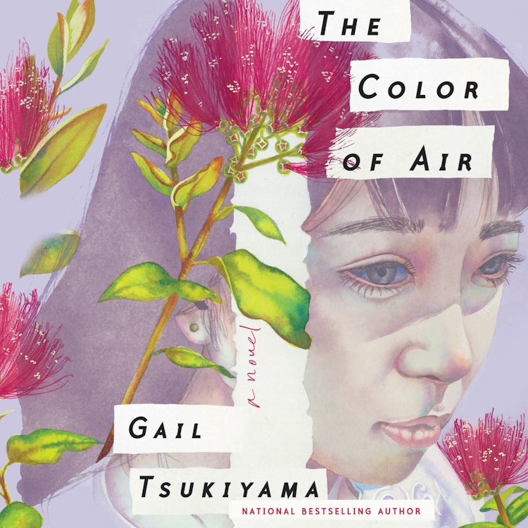 Cover image for The Color of Air, isbn: 9780063014886