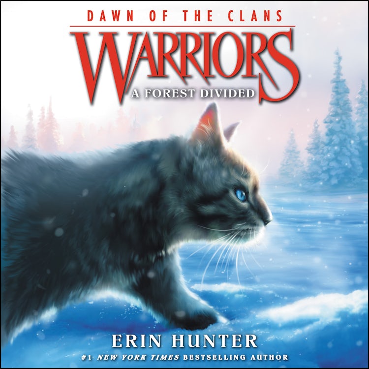 Cover image for Warriors: Dawn of the Clans #5: A Forest Divided, isbn: 9780063020429