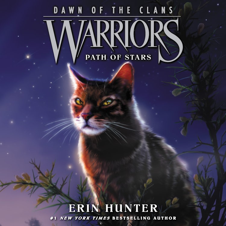 Cover image for Warriors: Dawn of the Clans #6: Path of Stars, isbn: 9780063020443