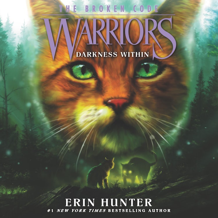 Cover image for Warriors: The Broken Code #4: Darkness Within, isbn: 9780063020542
