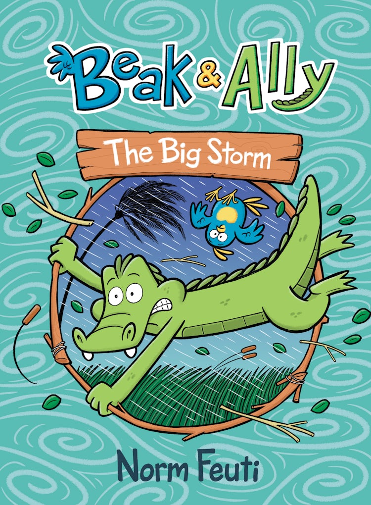 Cover image for Beak & Ally #3: The Big Storm, isbn: 9780063021662