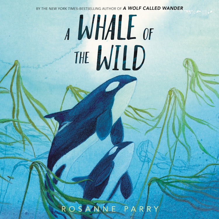 Cover image for A Whale of the Wild, isbn: 9780063026728