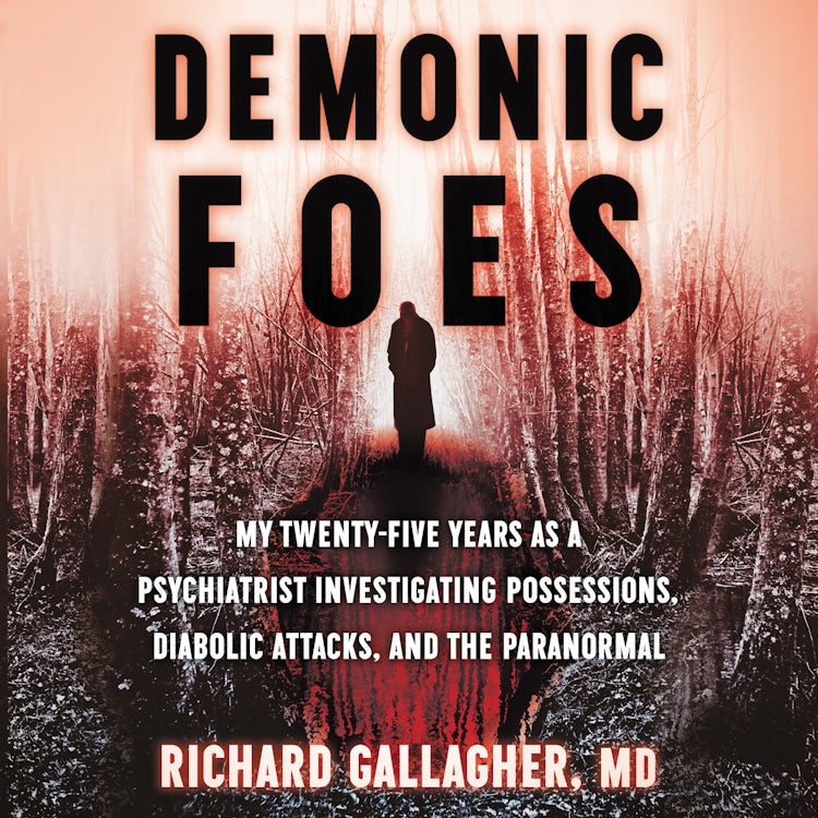Cover image for Demonic Foes, isbn: 9780063034693