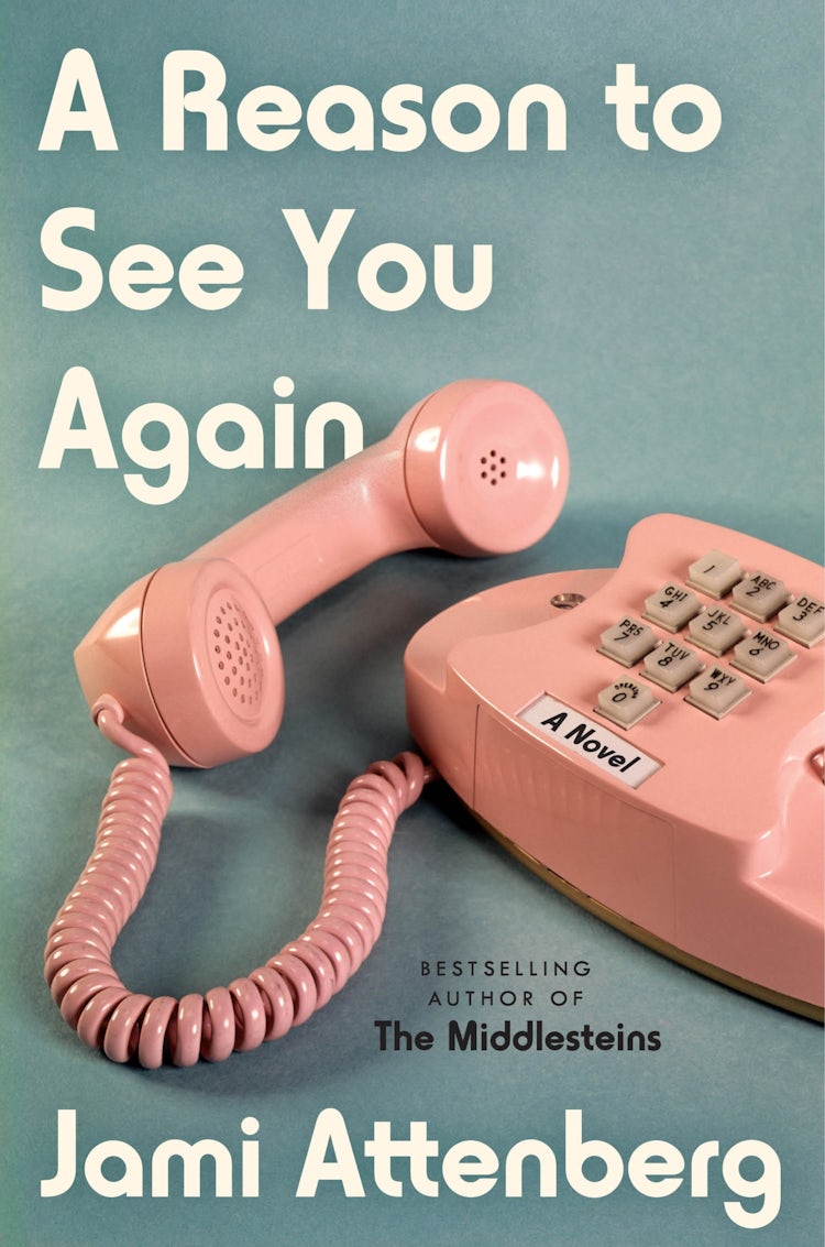 Cover image for A Reason To See You Again: A Novel, isbn: 9780063039841