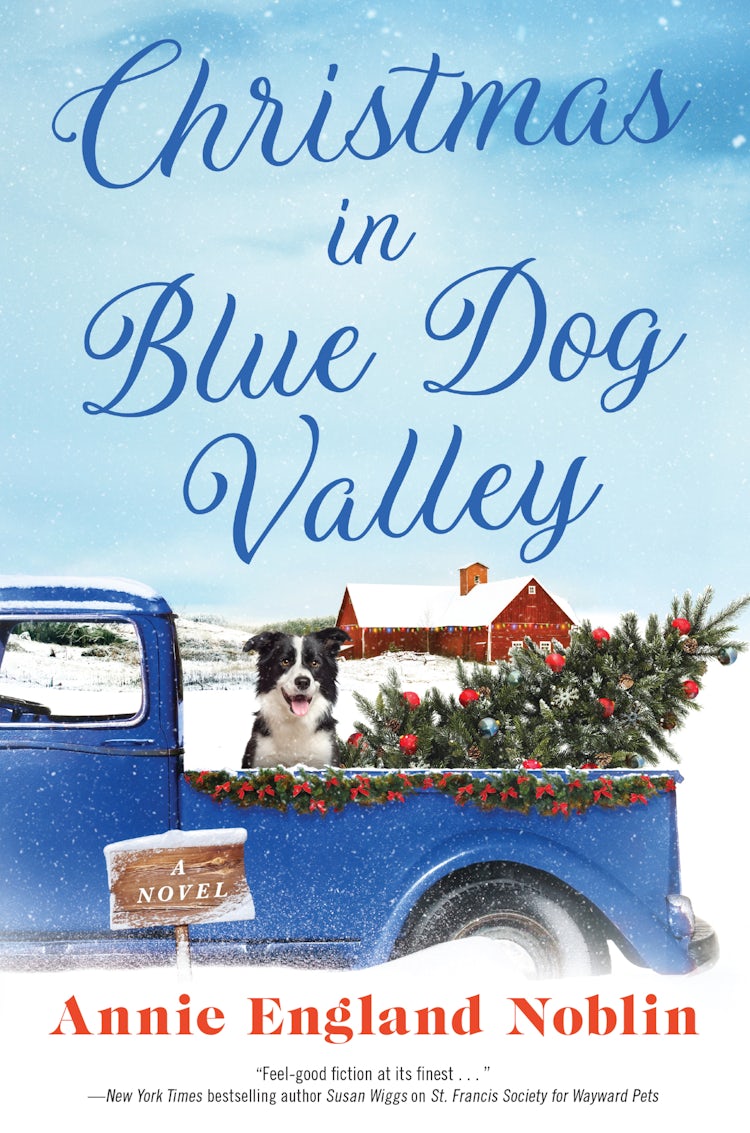 Cover image for Christmas in Blue Dog Valley, isbn: 9780063040205