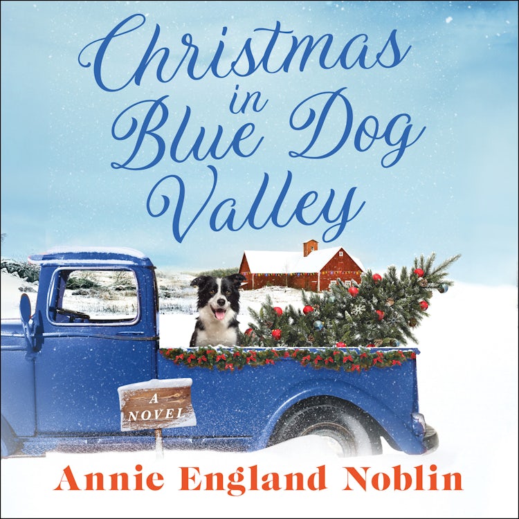 Cover image for Christmas in Blue Dog Valley, isbn: 9780063040212