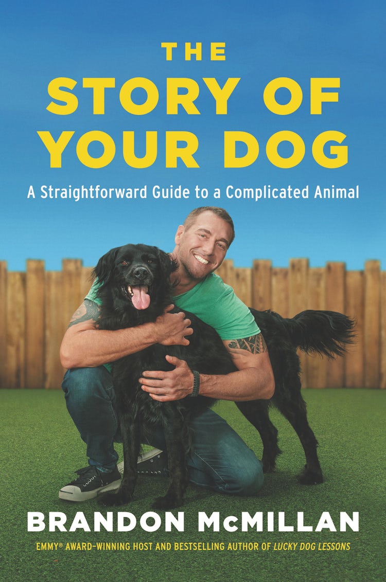 Cover image for The Story of Your Dog: A Straightforward Guide to a Complicated Animal, isbn: 9780063040656