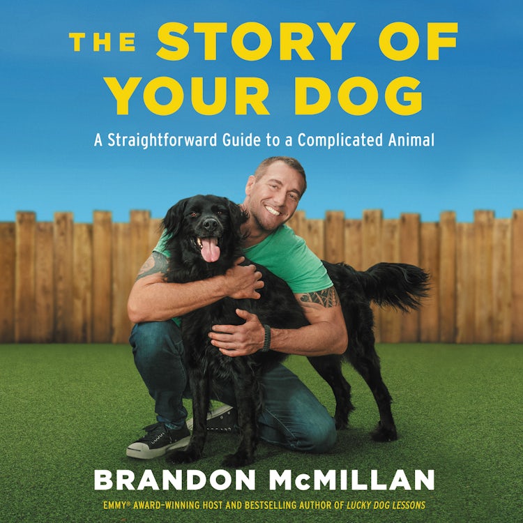 Cover image for The Story of Your Dog, isbn: 9780063040687