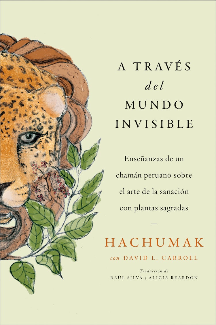 Cover image for Journeying Through the Invisible \ A través del mundo invisible (Sp.), isbn: 9780063041844