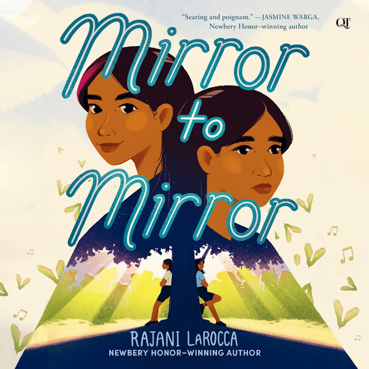 Cover image for Mirror to Mirror, isbn: 9780063047495