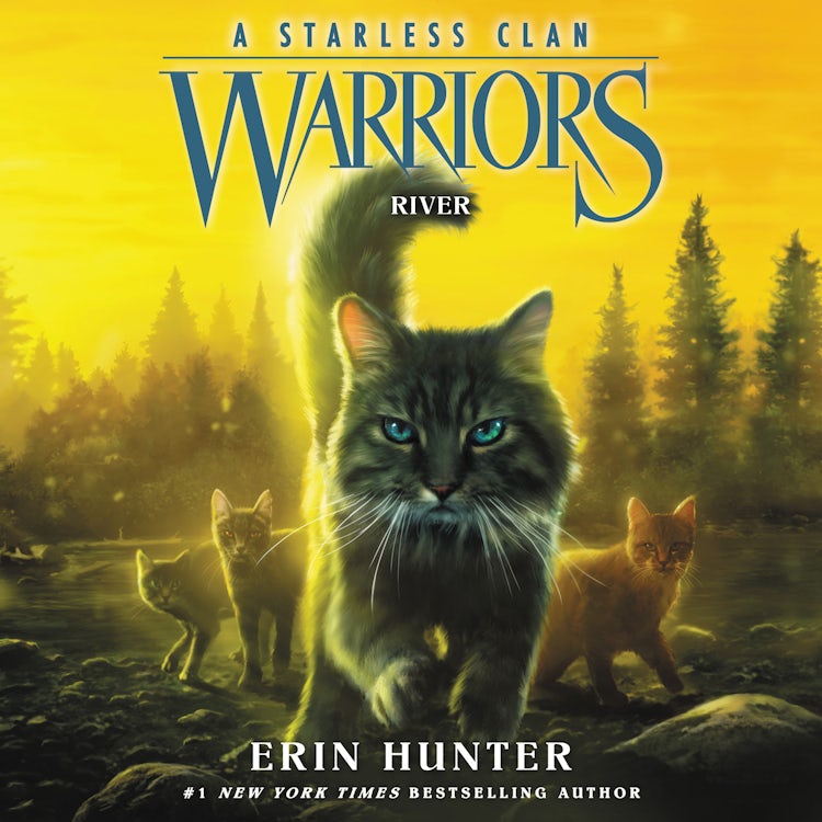 Cover image for Warriors: A Starless Clan #1: River, isbn: 9780063050136