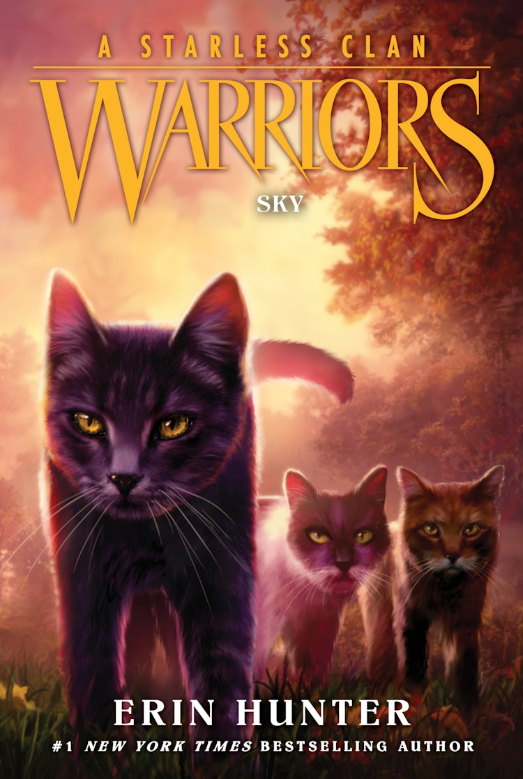 Cover image for Warriors: A Starless Clan #2: Sky, isbn: 9780063050174