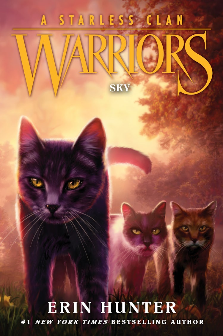 Cover image for Warriors: A Starless Clan #2: Sky, isbn: 9780063050181