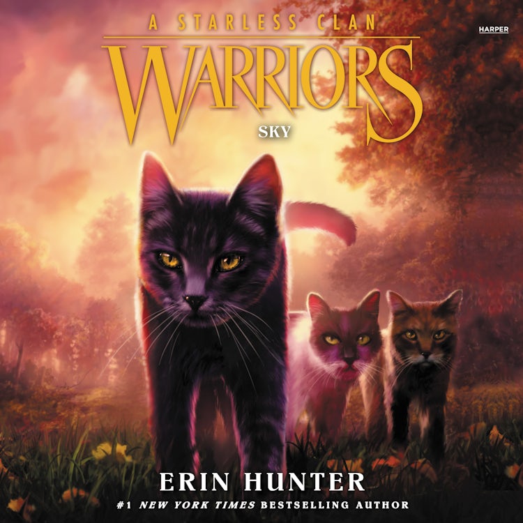 Cover image for Warriors: A Starless Clan #2: Sky, isbn: 9780063050198