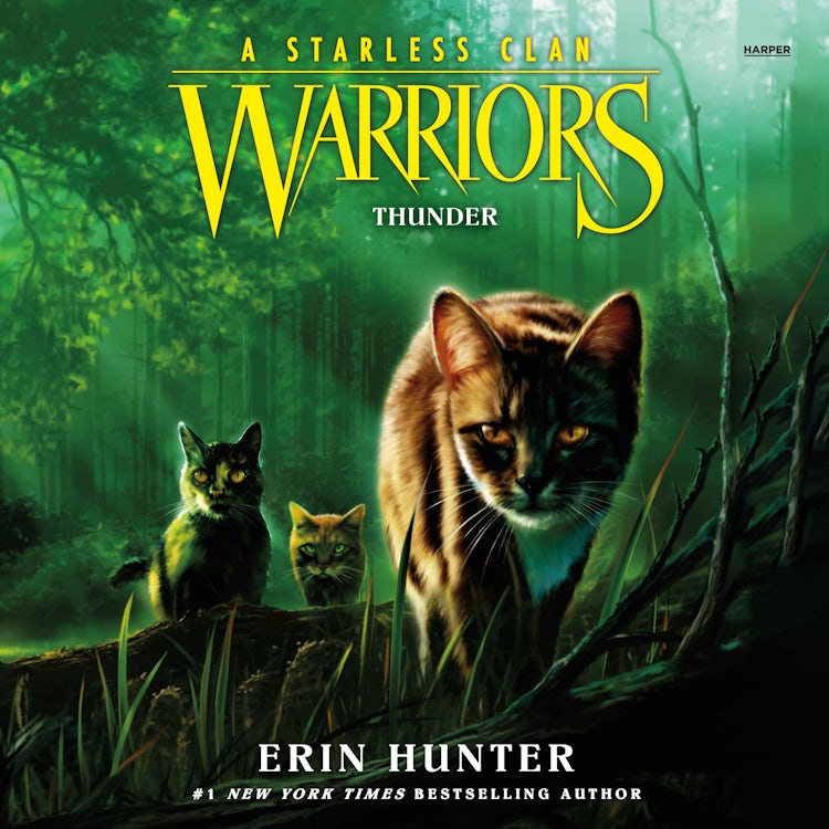 Cover image for Warriors: A Starless Clan #4: Thunder, isbn: 9780063050303