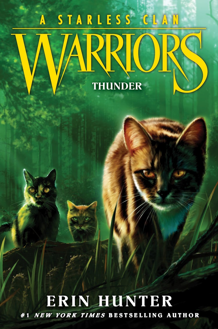 Cover image for Warriors: A Starless Clan #4: Thunder, isbn: 9780063050310
