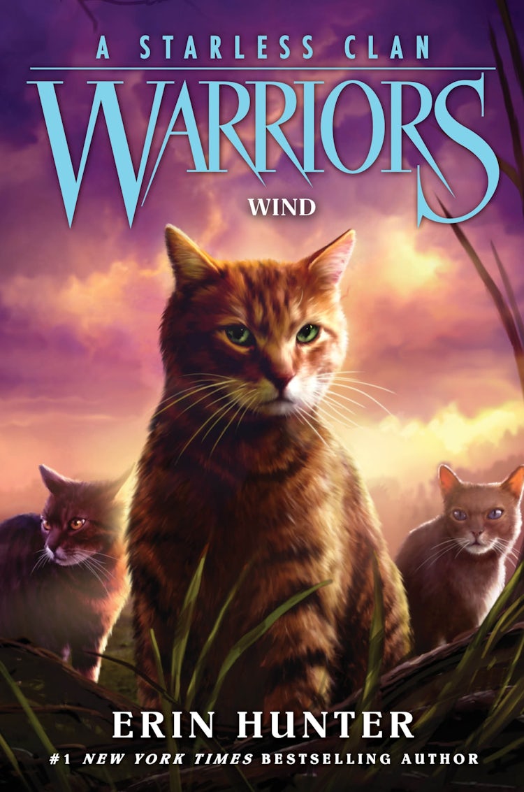 Cover image for Warriors: A Starless Clan #5: Wind, isbn: 9780063050334