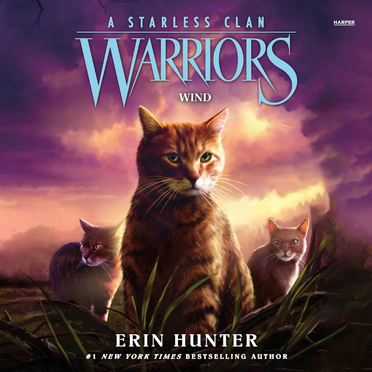 Cover image for Warriors: A Starless Clan #5: Wind, isbn: 9780063050372