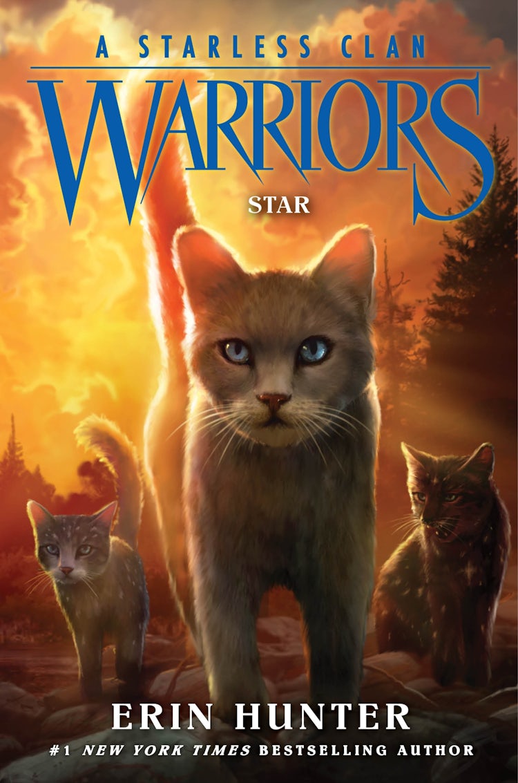 Cover image for Warriors: A Starless Clan #6: Star, isbn: 9780063050396