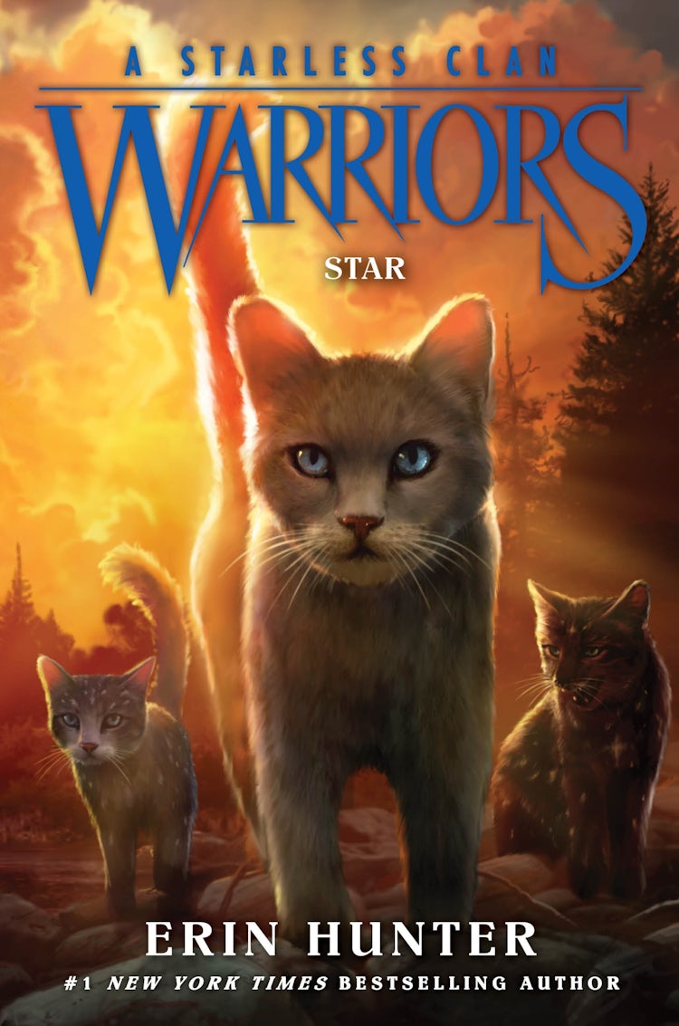 Cover image for Warriors A Starless Clan #6 Star, isbn: 9780063050419