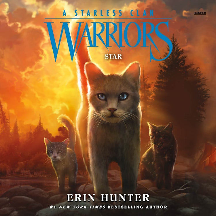 Cover image for Warriors: A Starless Clan #6: Star, isbn: 9780063050426