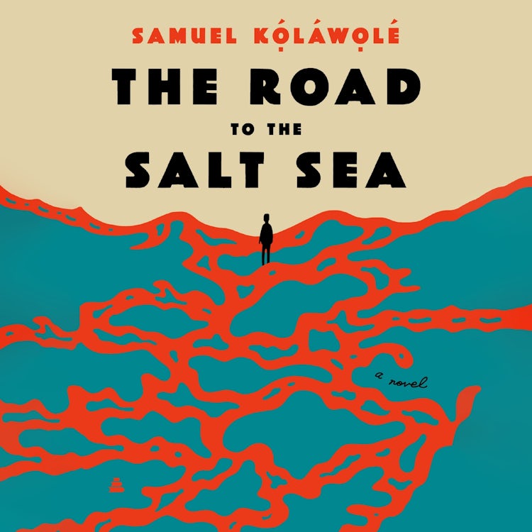 Cover image for The Road to the Salt Sea, isbn: 9780063050914